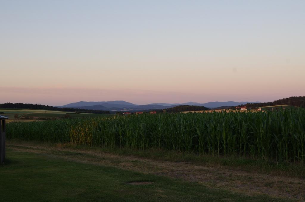 Apartmán Holzhaus Lugerhof Roding Exteriér fotografie