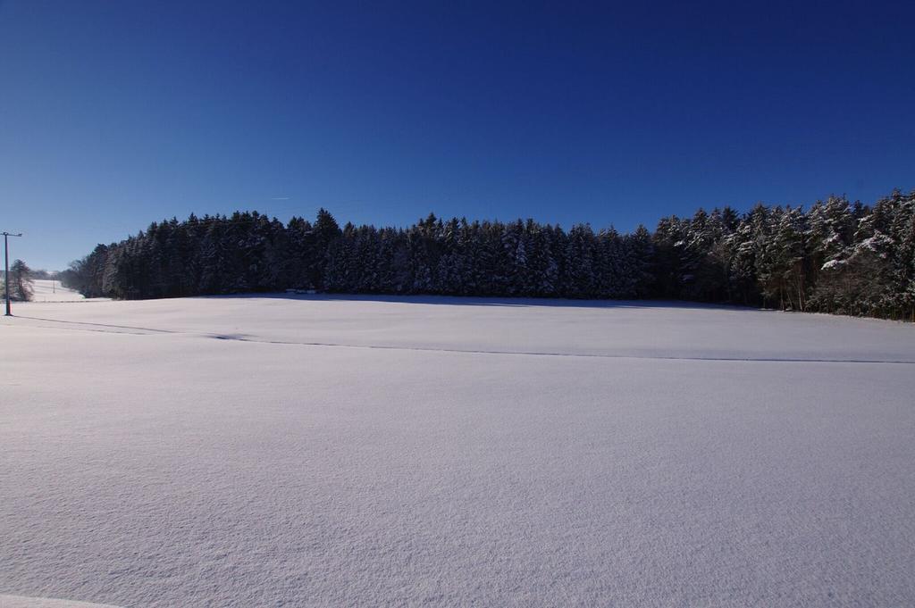 Apartmán Holzhaus Lugerhof Roding Exteriér fotografie