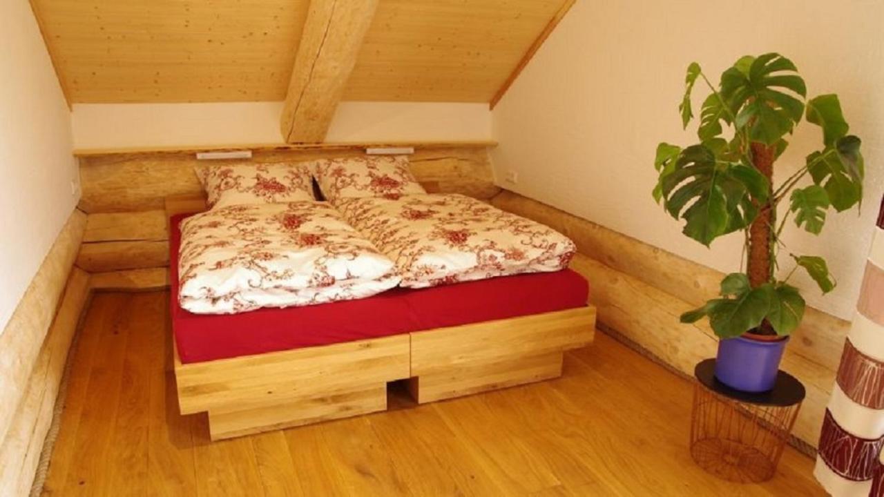 Apartmán Holzhaus Lugerhof Roding Exteriér fotografie